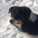 Shiloh was adopted in February, 2009